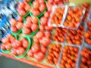20080809-�{���̔����ł�-_7
