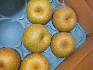 20080809-�{���̔����ł�-_11