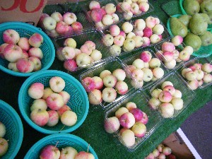 20080809-�{���̔����ł�-_18