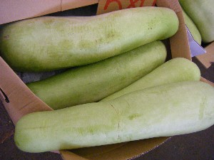 20080809-�{���̔����ł�-_20