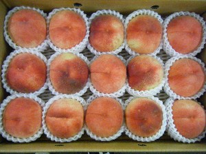 20080809-�{���̔����ł�-_23