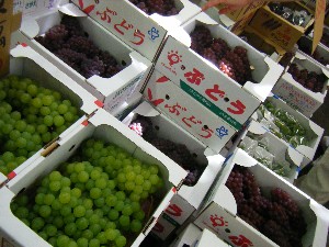 20080812-�{���̔����ł�-_6