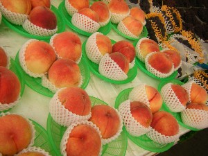 20080812-�{���̔����ł�-_9