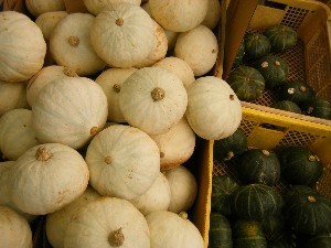 20080812-�{���̔����ł�-_11
