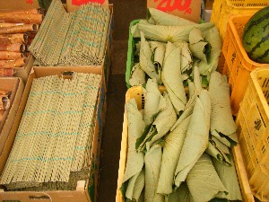 20080812-�{���̔����ł�-_12