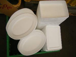 20080812-�{���̔����ł�-_14