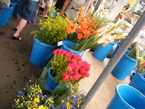 20080812-�{���̔����ł�-_19