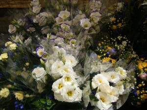 20080812-�{���̔����ł�-_21