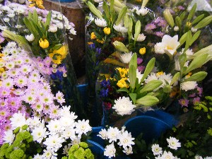 20080812-�{���̔����ł�-_27