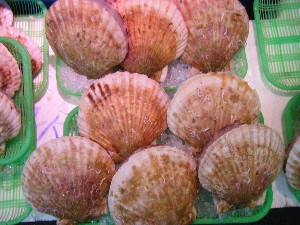 20080812-�{���̔����ł�-_33