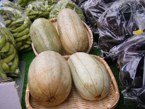 20080812-�{���̔����ł�-_4