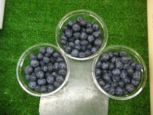20080812-�{���̔����ł�-_5