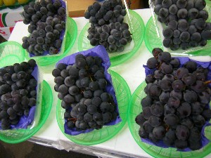 20080812-�{���̔����ł�-_9