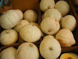 20080812-�{���̔����ł�-_11
