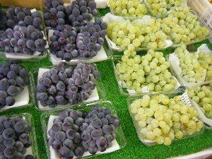 20080812-�{���̔����ł�-_12