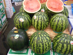 20080812-�{���̔����ł�-_13