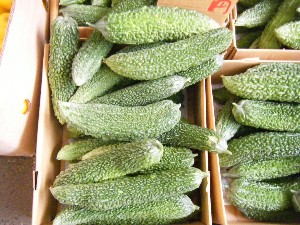 20080812-�{���̔����ł�-_14