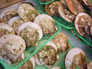 20080812-�{���̔����ł�-_22