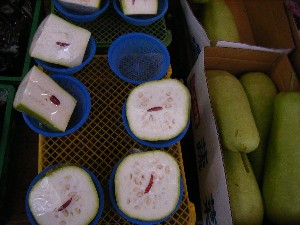 ����׌��r����v���~�j�`�����e�B�R���T�[�g�X�e�[�W�v��_5