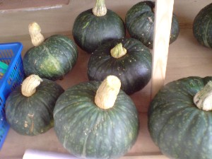 20080830-�{���̔����ł�-_1