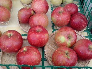 20080830-�{���̔����ł�-_6