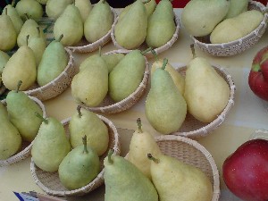 20080830-�{���̔����ł�-_7