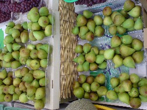 20080830-�{���̔����ł�-_20