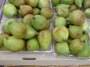 20080830-�{���̔����ł�-_21