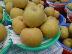 20080830-�{���̔����ł�-_22