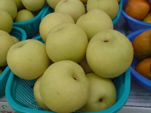 20080830-�{���̔����ł�-_24
