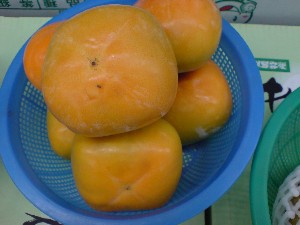 20080830-�{���̔����ł�-_25