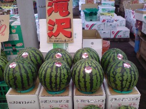 20080830-�{���̔����ł�-_26