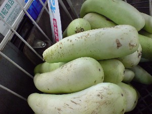 20080830-�{���̔����ł�-_40