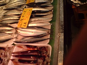 20080830-�{���̔����ł�-_50