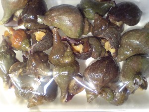 20080830-�{���̔����ł�-_54