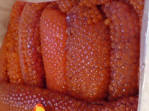 20080830-�{���̔����ł�-_62