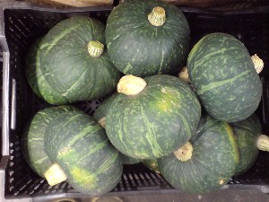 20080830-�{���̔����ł�-_70