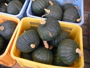20080906-�{���̔����ł�-_13