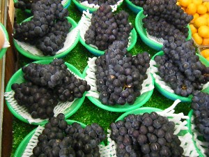20080906-�{���̔����ł�-_29