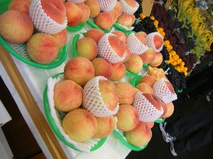 20080906-�{���̔����ł�-_30