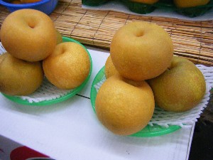 20080906-�{���̔����ł�-_32