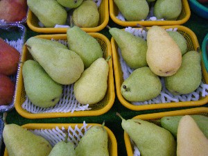 20080906-�{���̔����ł�-_43