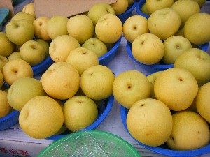 20080906-�{���̔����ł�-_48