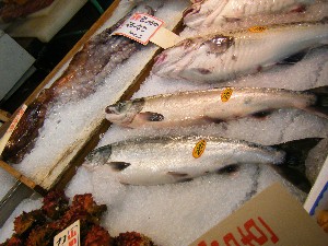 20080906-�{���̔����ł�-_62
