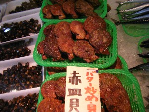 20080906-�{���̔����ł�-_63