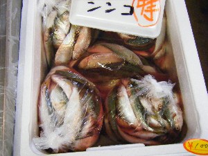 20080906-�{���̔����ł�-_70