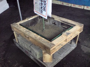 20080913 ���T�̔����ł�_51
