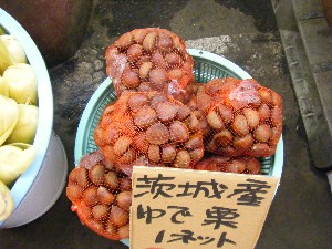 20080913 ���T�̔����ł�_23