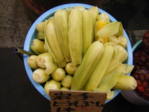 20080913 ���T�̔����ł�_24