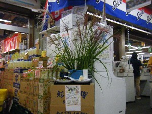 20080913 ���T�̔����ł�_48